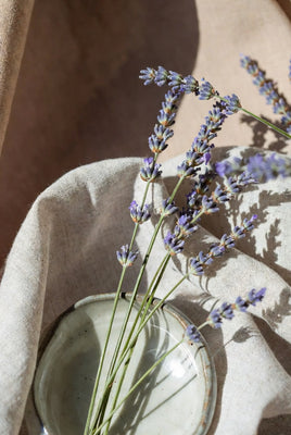 🌿 Botanical Aromatherapy Tradition